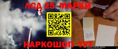спиды Канаш