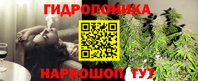 спиды Канаш